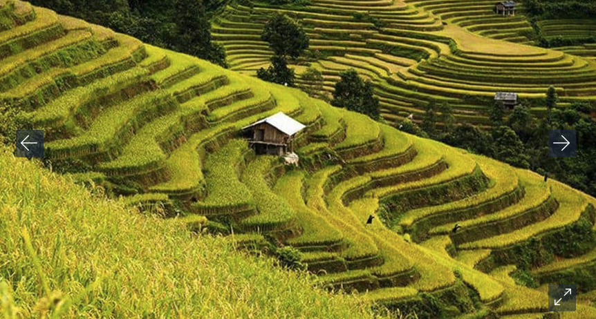 4 Days Hanoi Easy Rider To Mu Cang Chai Loop