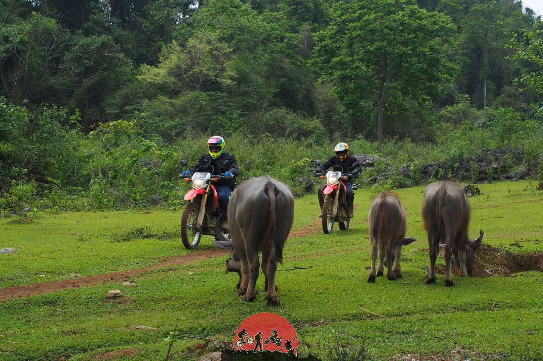 Motorbike To Tam Coc – Cuc Phuong National Park – 2 Days
