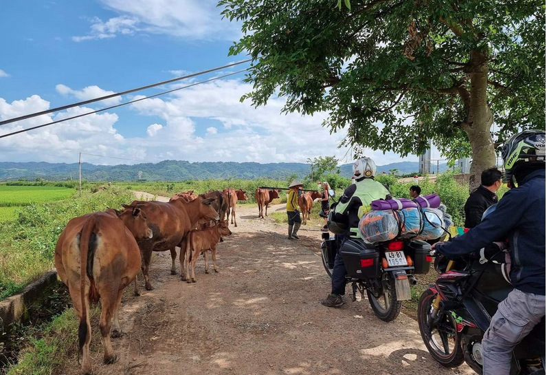 10 Days Easy Rider from Saigon to Hoi An